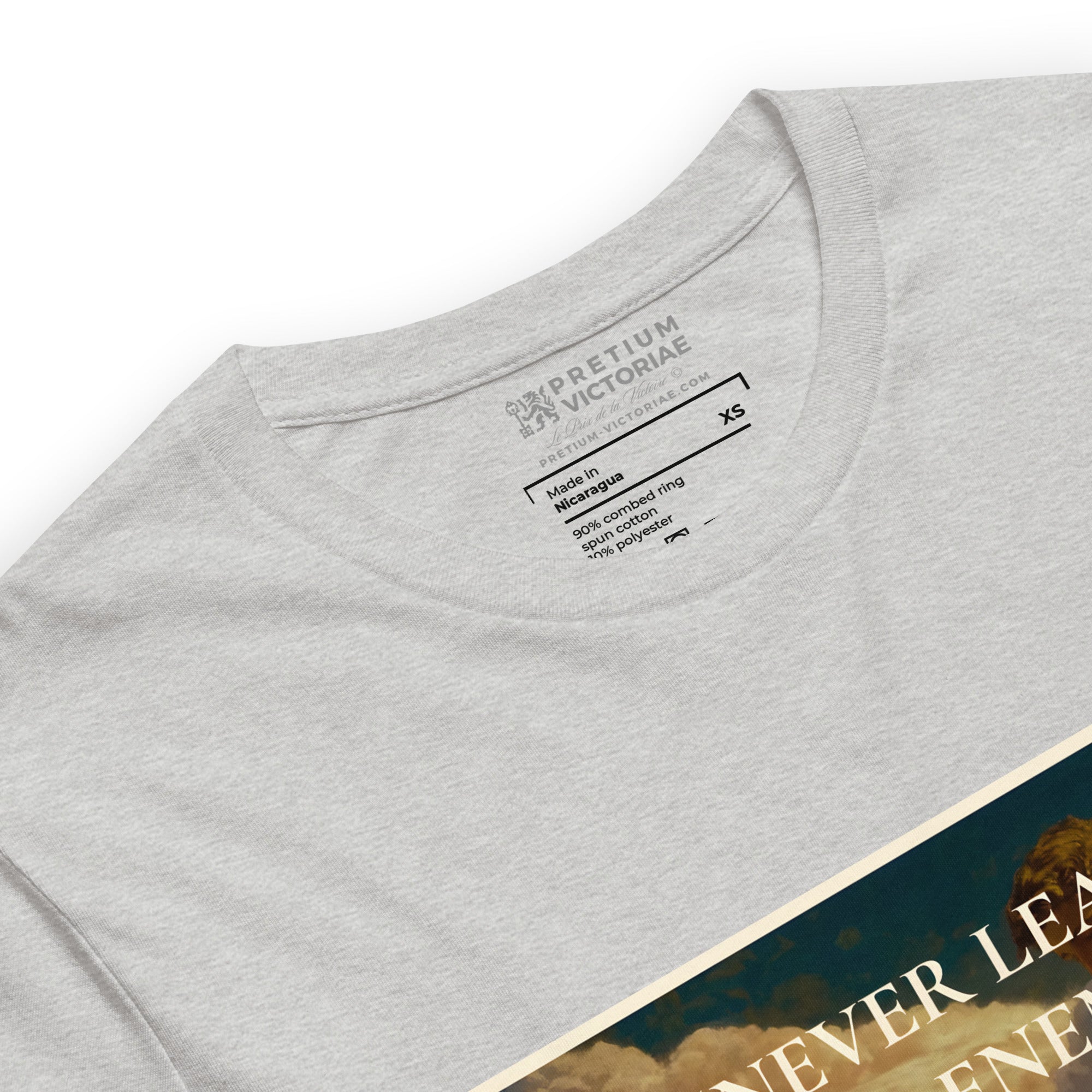 Buy Now Online PRETIUM VICTORIAE Never Leave an Ennemy Half-Defeated Machiavelli Unisex T-shirt Inspirational Stoicism Quote Motivational - PRETIUM VICTORIAE© - https://pretium-victoriae.com